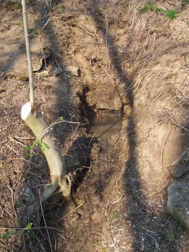 Soubor /studanka (10).jpg